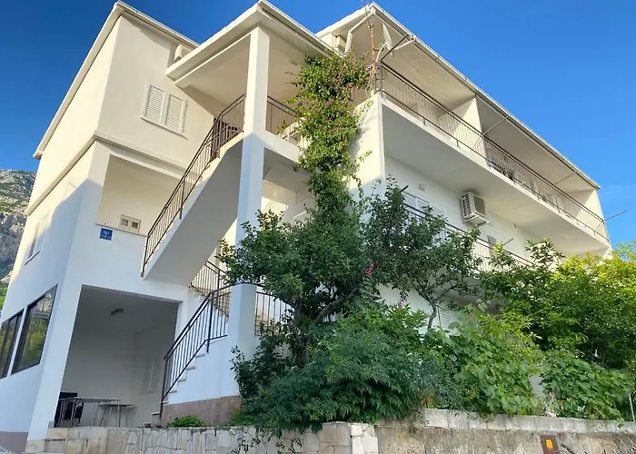 New Apartment Papillon
