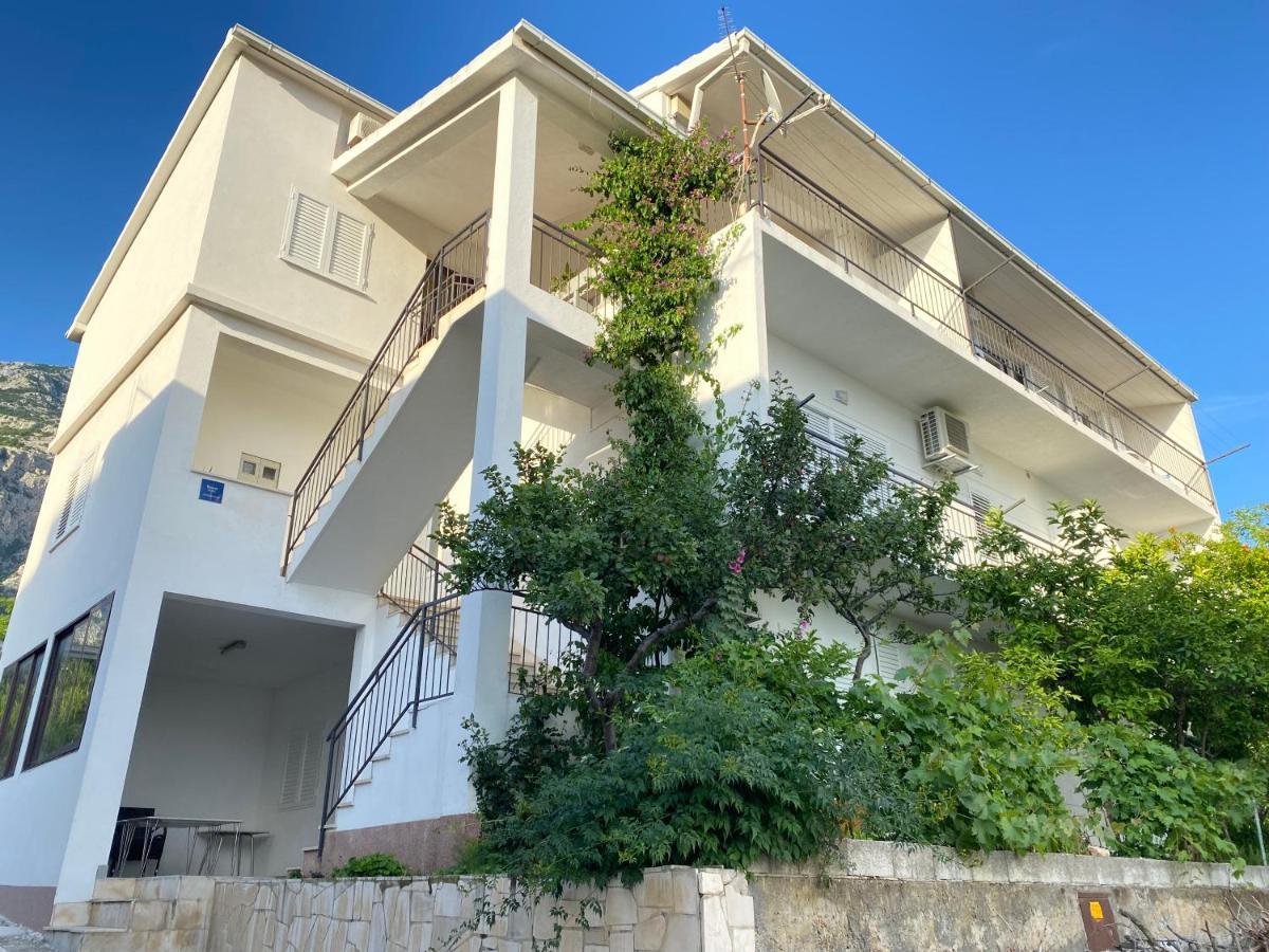 New Papillon * Makarska