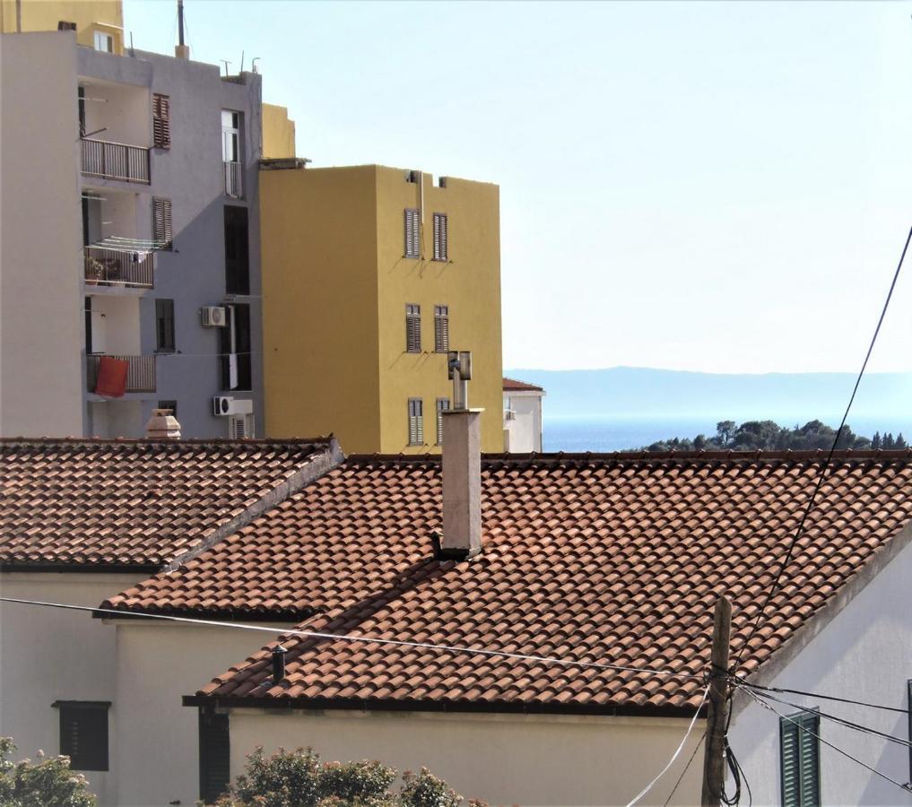 Apartment New Papillon